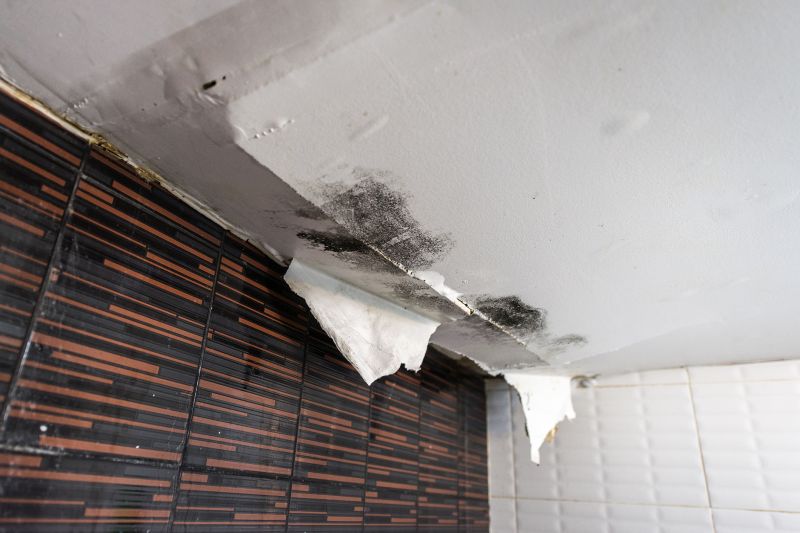 Ceiling Tile Repair