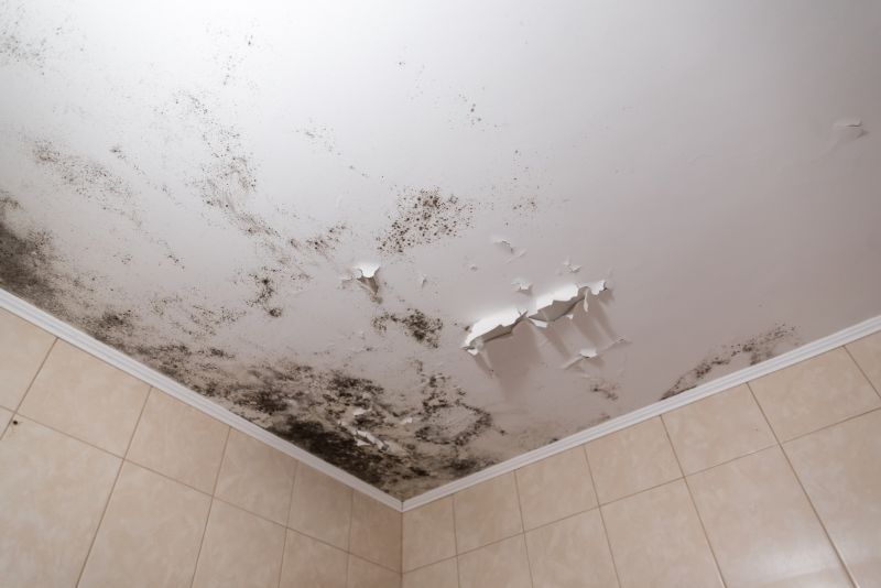 Mold Growth