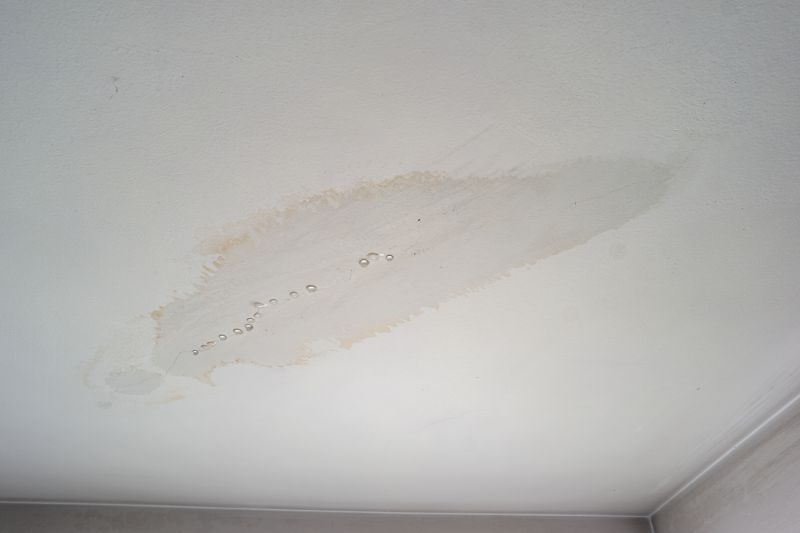 Damaged Ceiling Tiles