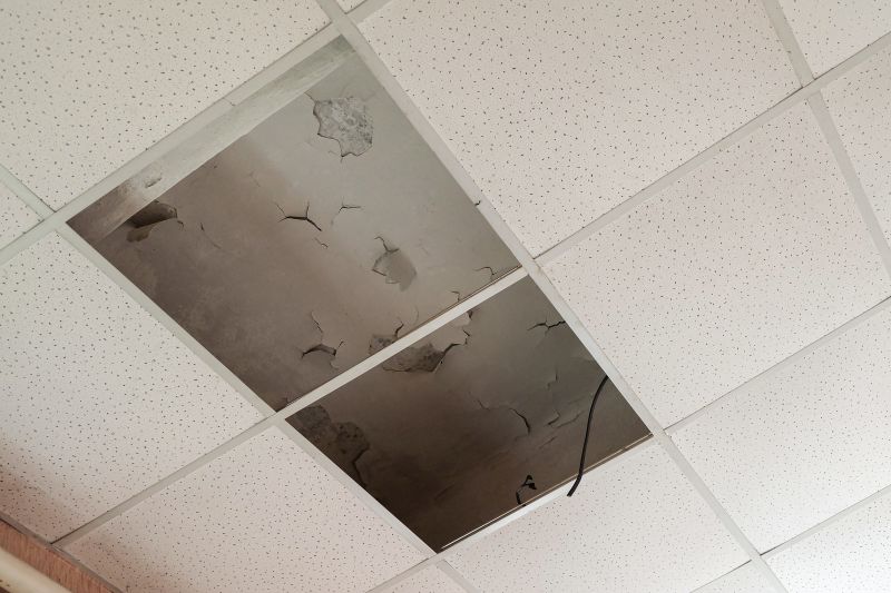 Replacement of Ceiling Tiles